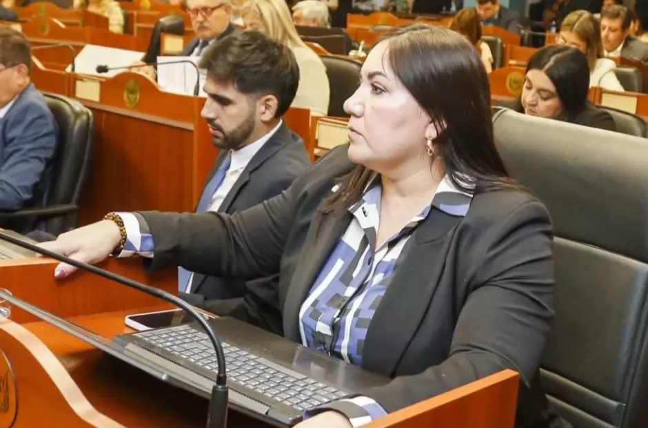 Diputados El bloque radical cuestionó el presupuesto 2025